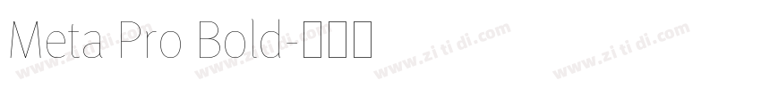Meta Pro Bold字体转换